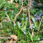 2019.03.29-31-Wardztaty-Dziwnów034