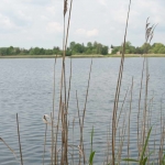 2019.05.31-06.03-Pielgrzymka-do-Lichenia-104