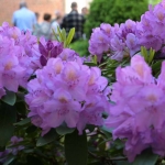 2019.05.31-06.03-Pielgrzymka-do-Lichenia-175