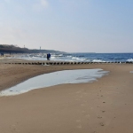 2019.11.08-10-Warsztaty-Dziwnów-0008