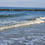 2019.11.08-10-Warsztaty-Dziwnów-0009